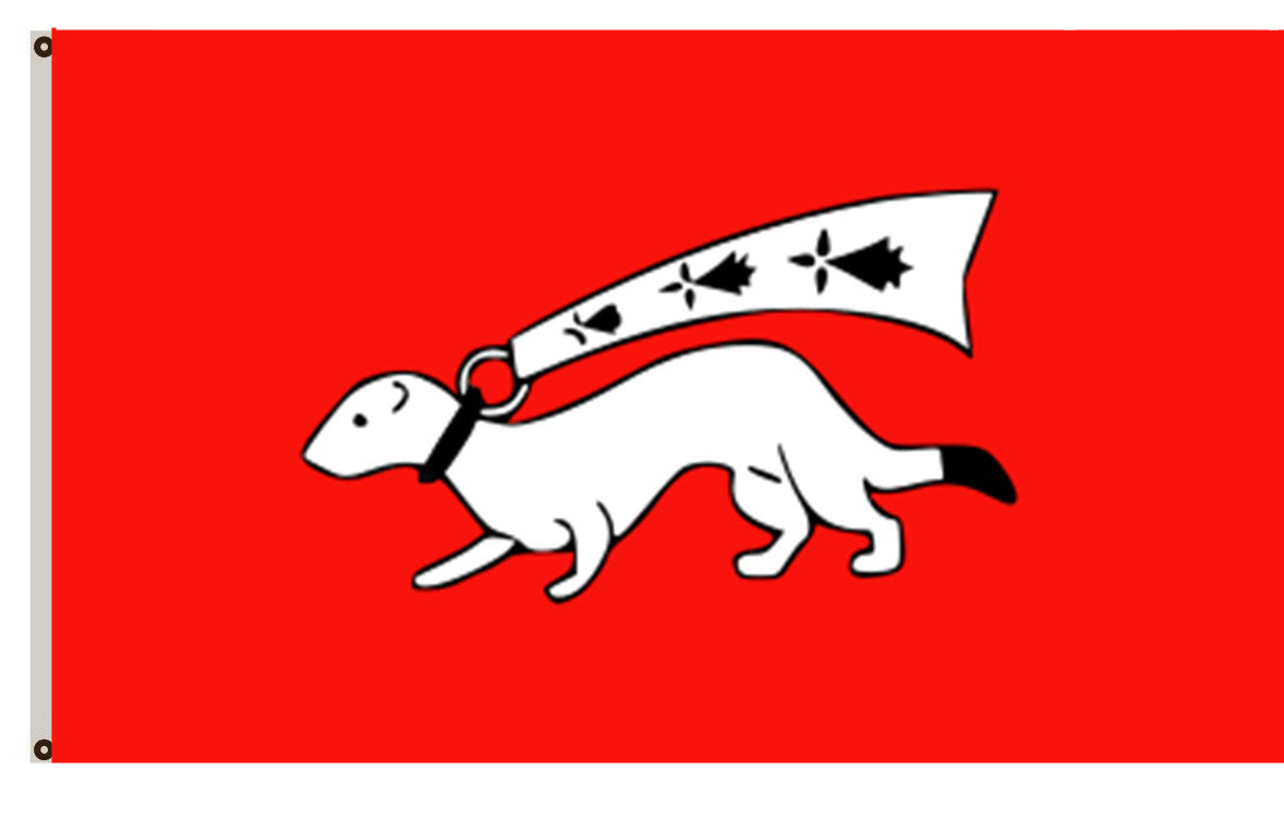 Fyon Europe banner France flag