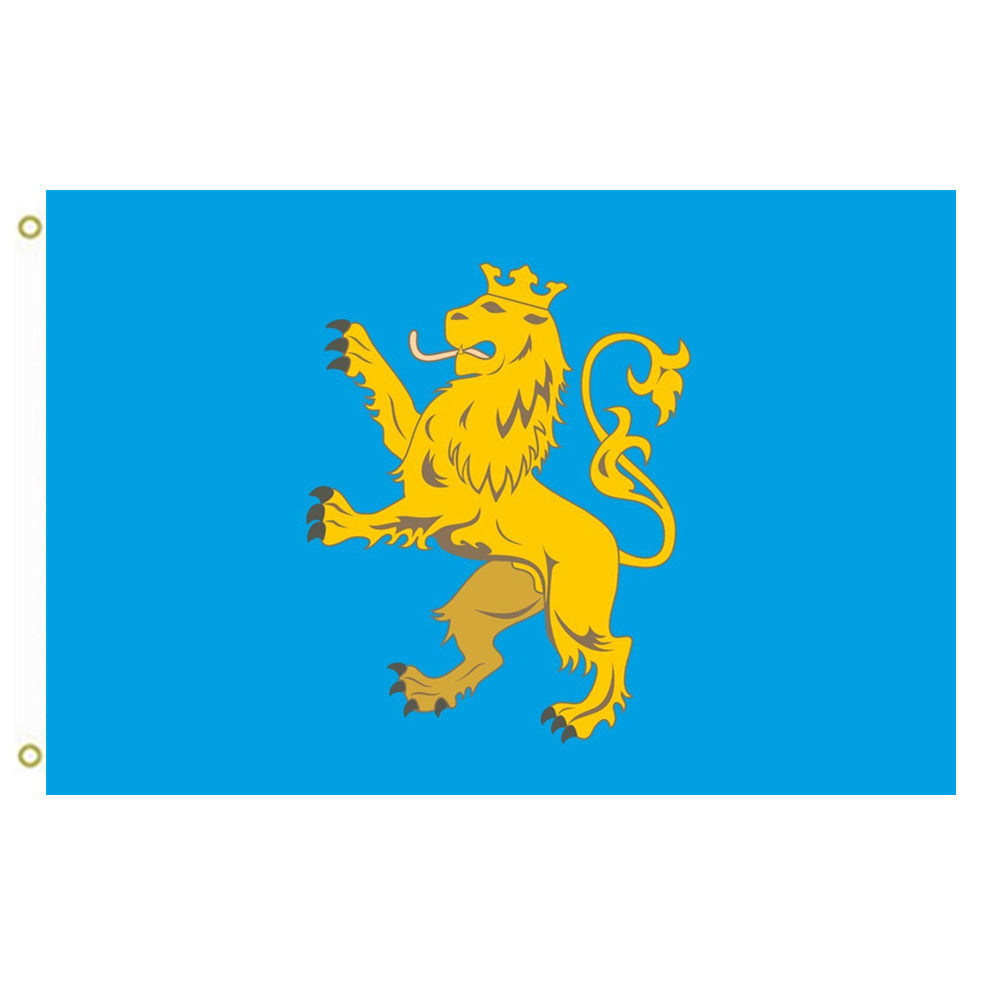 Fyon Lviv Oblast Flag Ukraine Indoor and outdoor banner