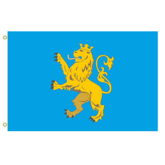 Fyon Lviv Oblast Flag Ukraine Indoor and outdoor banner