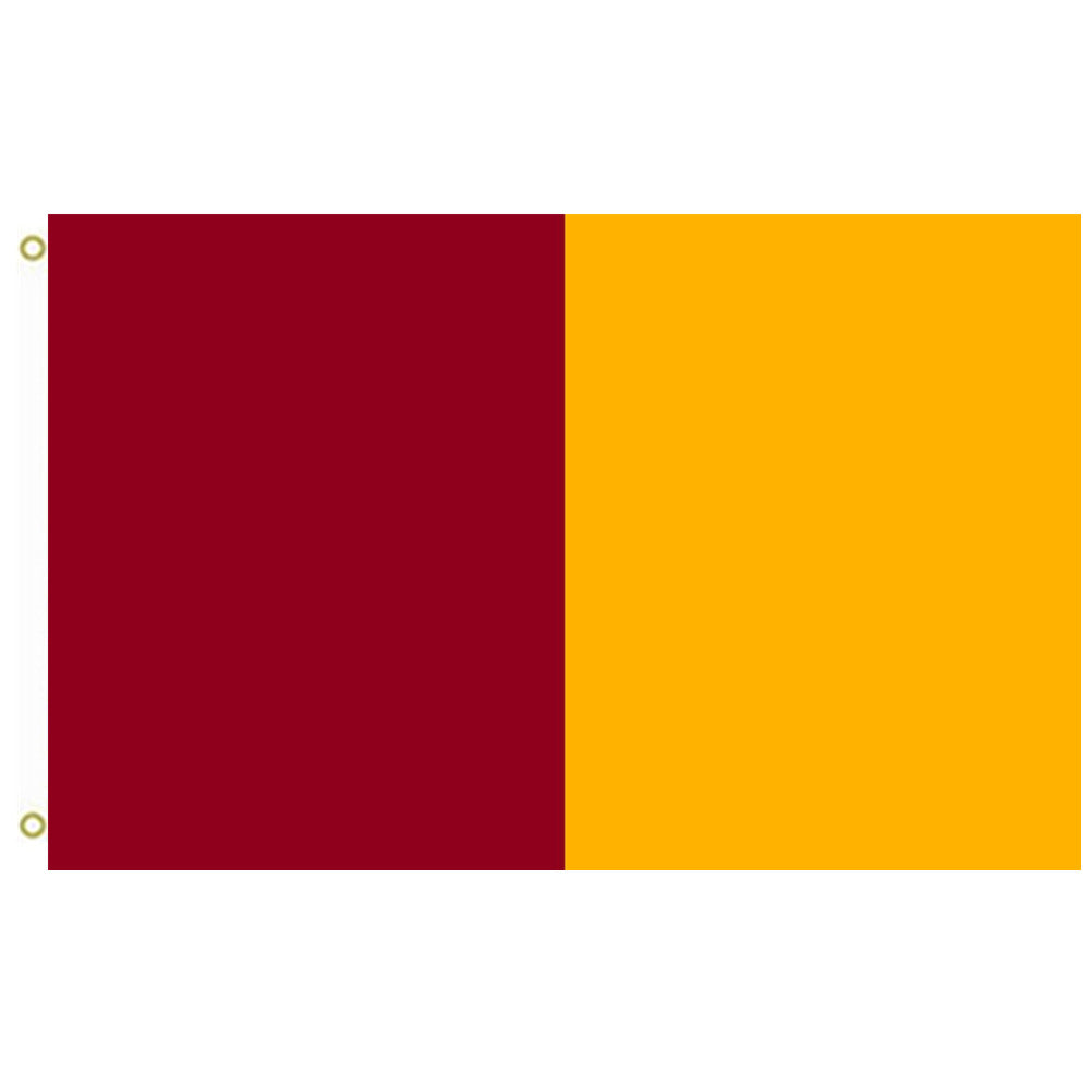Fyon Rome Flag Indoor and outdoor banner