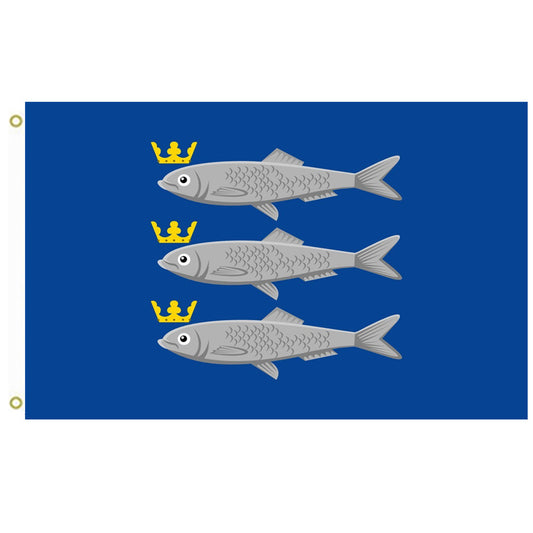 Fyon Scheveningen Flag Indoor and outdoor banner