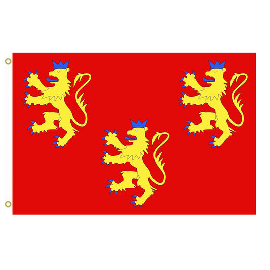 Fyon Dordogne Flag Indoor and outdoor banner
