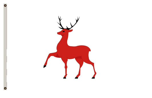 Fyon Nizhny Novgorod Flag Indoor and outdoor banner