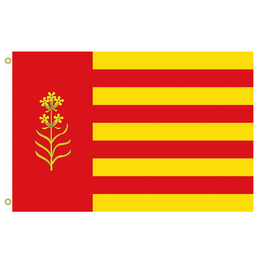 Fyon Zaragoza Spain ,City of Azuara Flag Indoor and outdoor banner