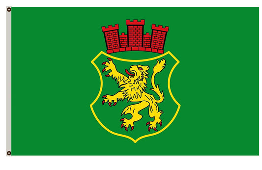 Fyon Town of Bad Münder, Germany Flag Indoor and outdoor banner