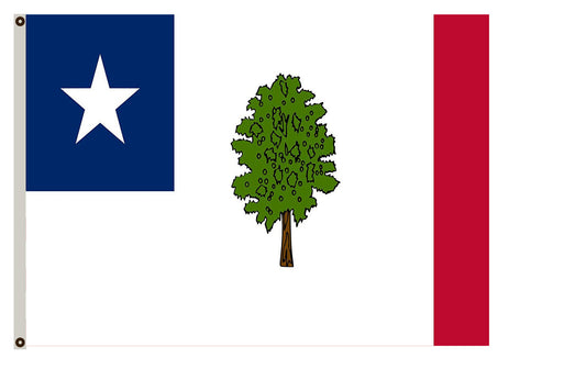 Fyon Mississippi 1861 Flag Indoor and outdoor banner