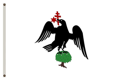 Fyon Wallachia cca Flag Indoor and outdoor banner