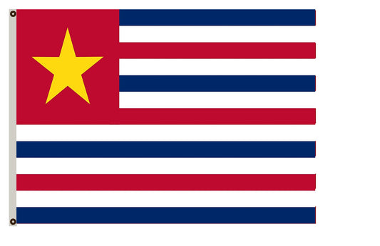 Fyon Louisiana February 11, 1861 Flag Indoor and outdoor banner
