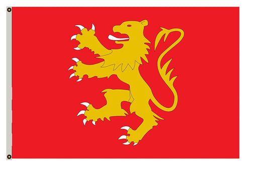 Fyon Old french province of Soule Zuberoa Flag Indoor and outdoor banner