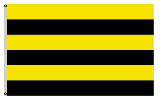 Fyon Dutch town of Schiedam Flag Indoor and outdoor banner