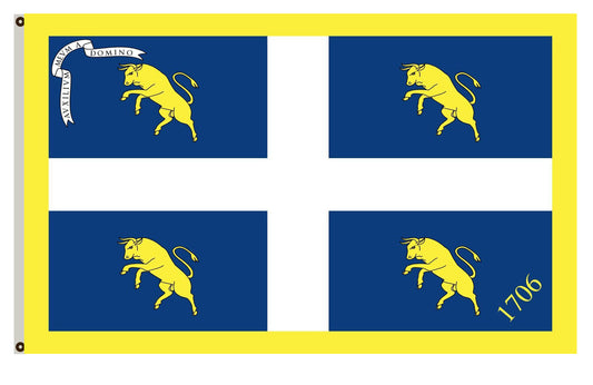 Official flag of city of Turin Flag Indoor and outdoor banner