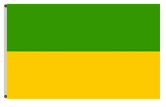 Recklinghausen  Beschreibung der Flagge Die Flagge der Stadt ist grün-gold Flag Indoor and outdoor banner