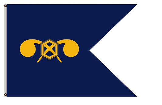 Chemical Corps Guidon Flag Indoor and outdoor banner
