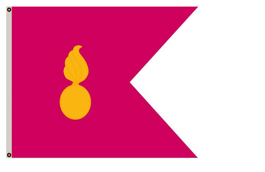Ordnance Guidon Flag Indoor and outdoor banner