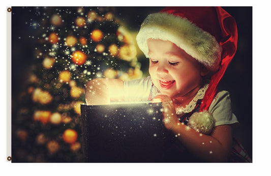 Merry Christmas Flag Baby surprised Party Flag Indoor and outdoor banner