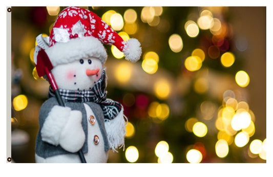 Merry Christmas banner Indoor and outdoor banner