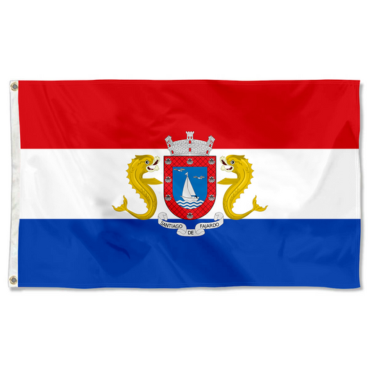Fyon Fajardo, Puerto Rico flag  banner
