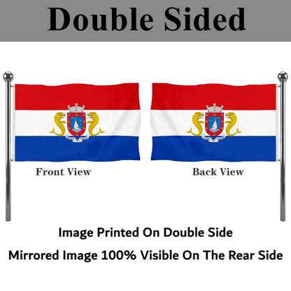 Fyon Fajardo, Puerto Rico flag  banner