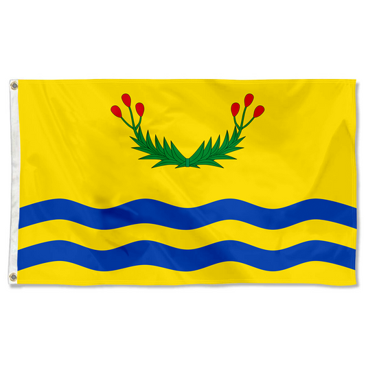 Fyon File Bandera de Juncos, Puerto Rico flag Banner