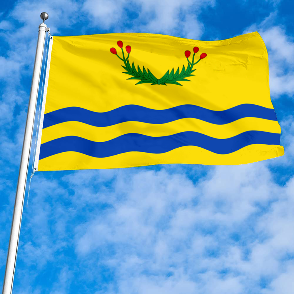 Fyon File Bandera de Juncos, Puerto Rico flag Banner