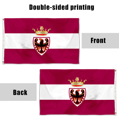 Fyon Province of Trento flag Indoor and outdoor banner