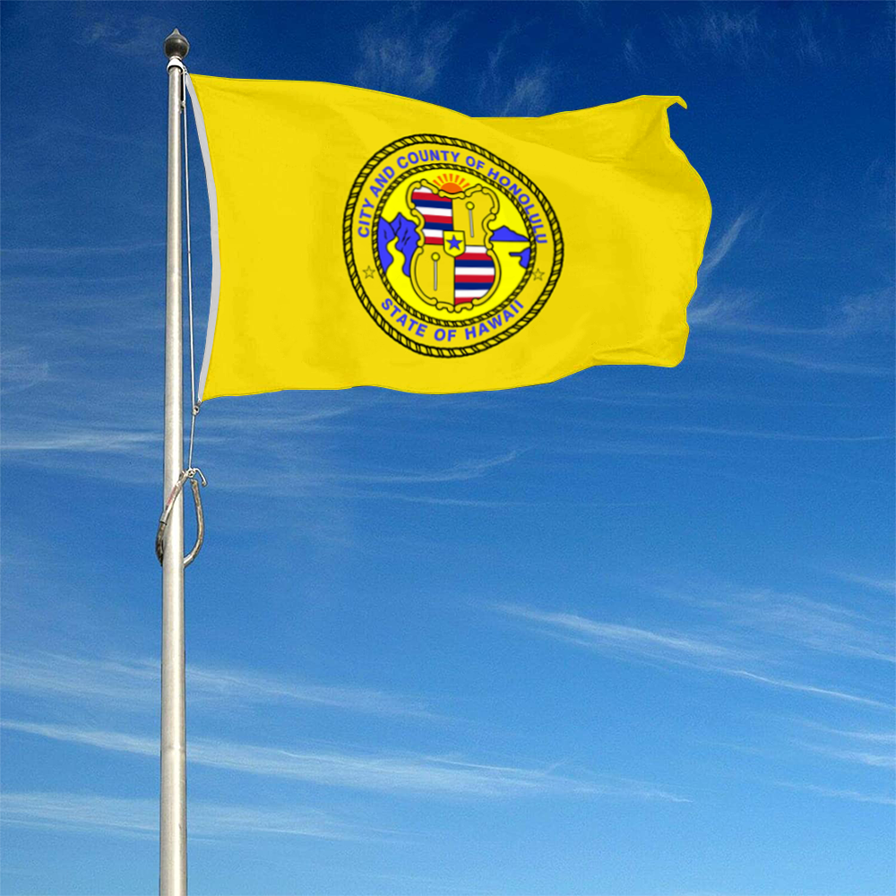 Fyon Former of Honolulu, Hawaii flag Banner