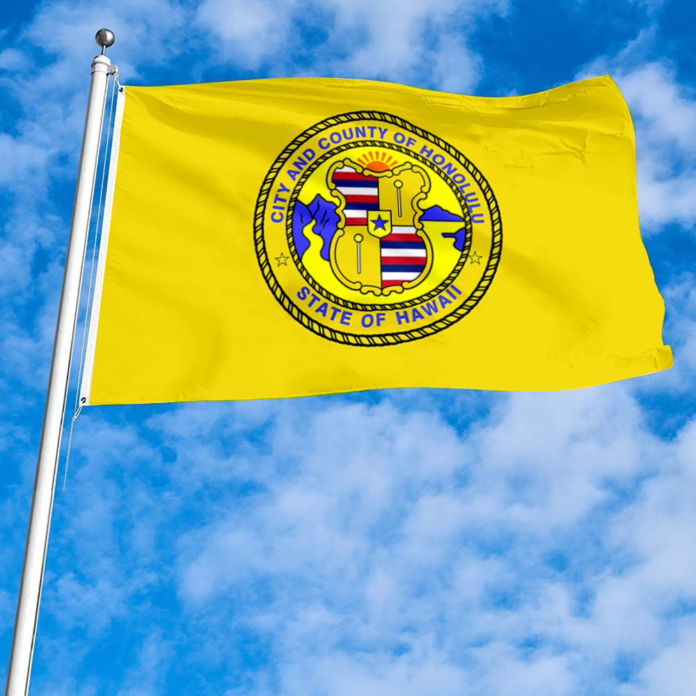 Fyon Former of Honolulu, Hawaii flag Banner
