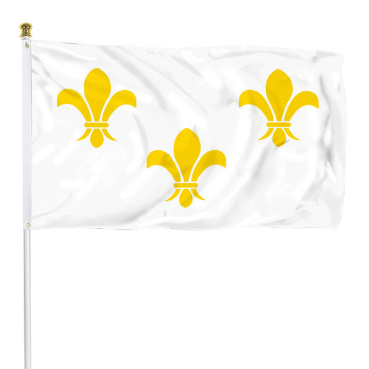 Fyon French Fleur-de-Lis White Flag (1590-1790)  Banner