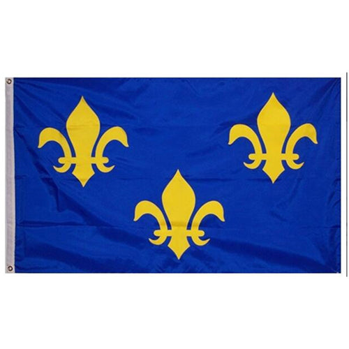 French Fleur-De-Lis (Blue) Flag Indoor and outdoor banner