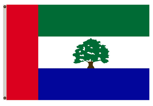 Fyon cflag banner