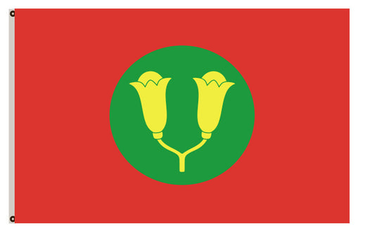 Fyon Sultanate of Zanzibar flag