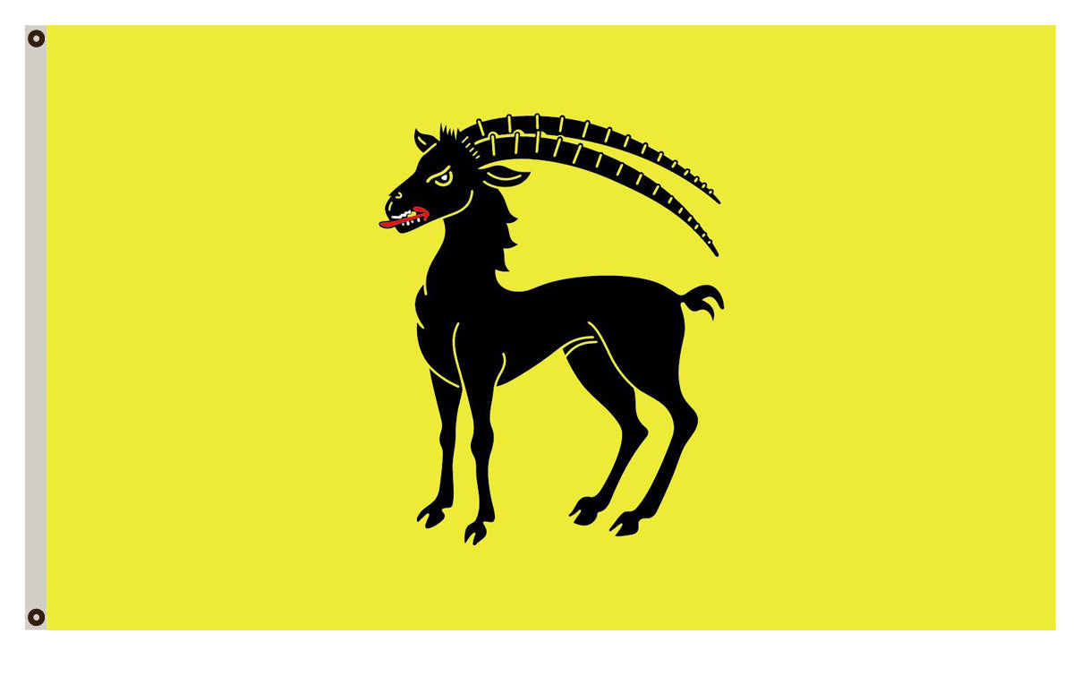 Fyon of Glarus flag Switzerland banner 25