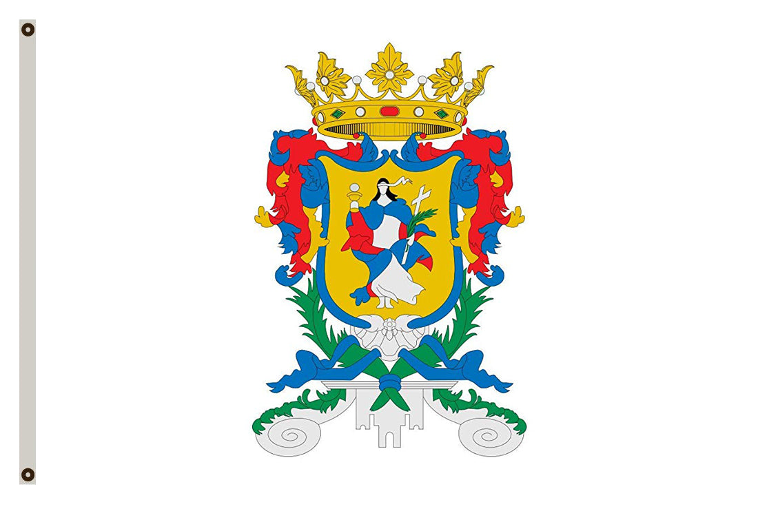 Fyon of Guanajuato flag banner