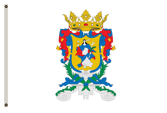 Fyon of Guanajuato flag banner