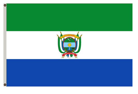 Fyon of Guaviare flag Colombia banner