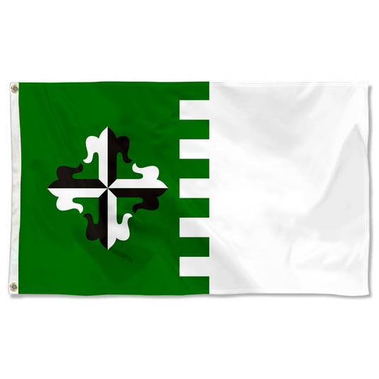 Fyon Guayanilla, Puerto Rico flag  banner