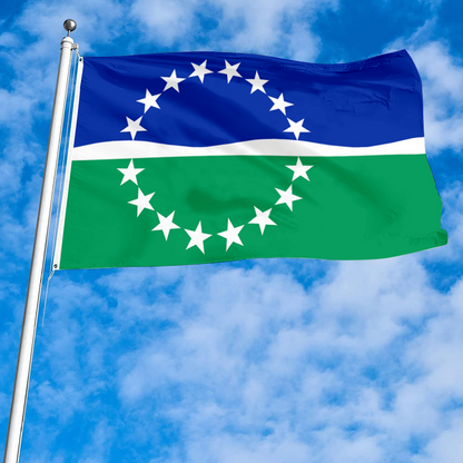 Fyon Hampton Roads, Virginia flag banner