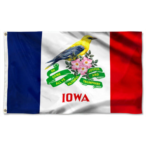 Fyon IOWA Eastern Goldfinch Bird Holly And Jolly Flag 41341  Indoor and outdoor banner