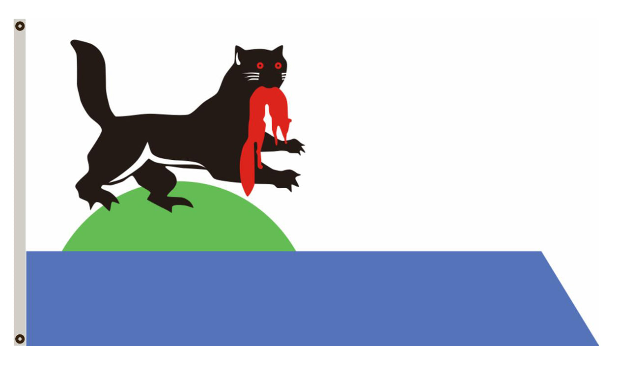 Fyon Irkutsk flag  Russia banner
