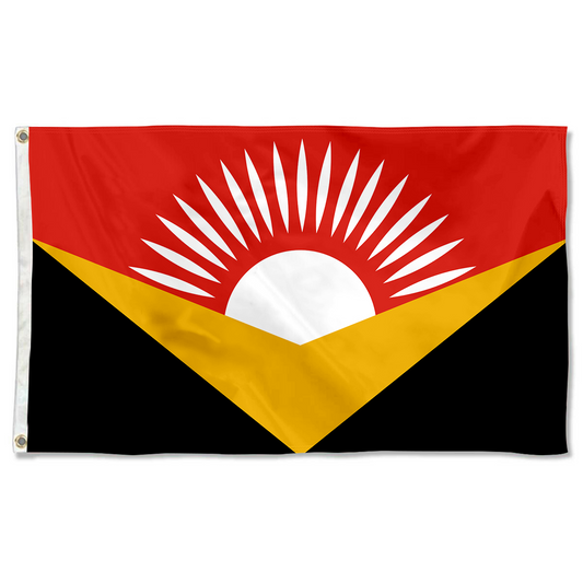 Fyon Kingman, Kansas flag Banner