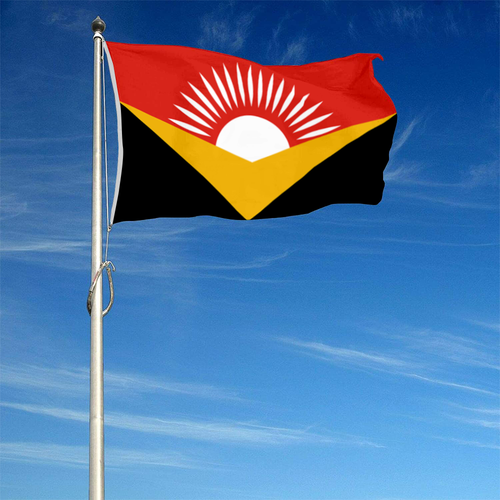 Fyon Kingman, Kansas flag Banner