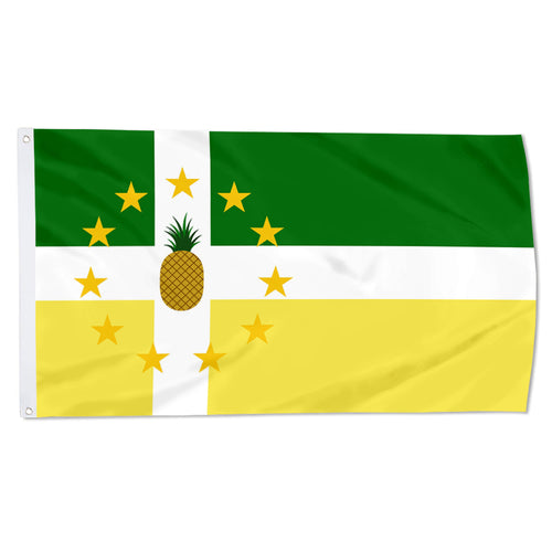 Fyon Lajas, Puerto Rico Flag Banner 23263