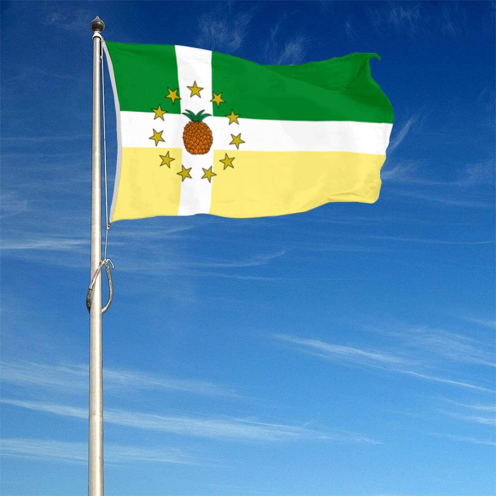 Fyon Lajas, Puerto Rico flag banner