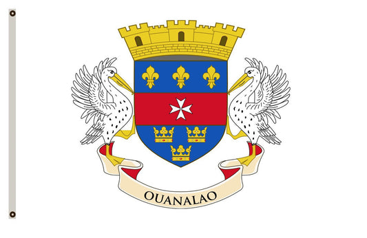 Local flag of Saint-Barthélemy, adopted 2007 banner landscape flag