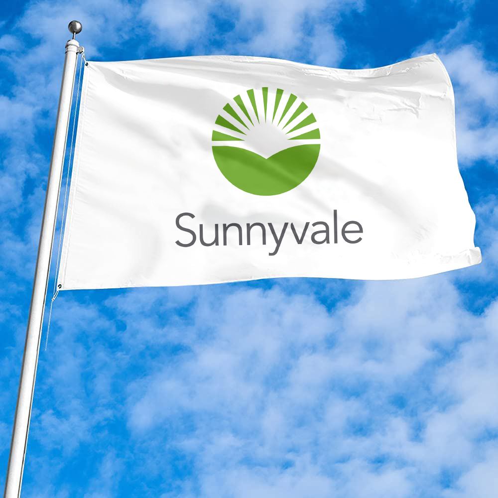 Fyon Logo of Sunnyvale, California Flag Banner