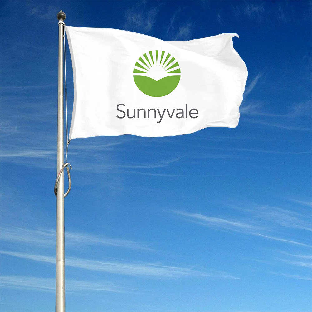Fyon Logo of Sunnyvale, California Flag Banner