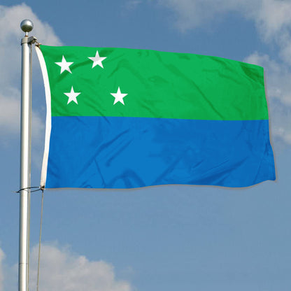 Fyon Los Lagos Region, Chile Since 2013  Flag Banner