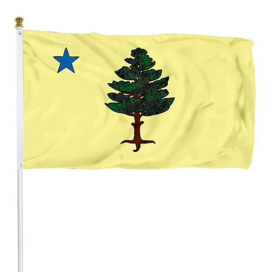 Fyon Maine 1901 to 1909 flag Indoor and outdoor banner