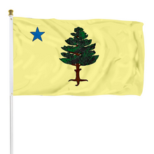 Fyon Maine 1901 to 1909 flag Indoor and outdoor banner