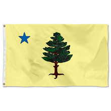 Fyon Maine 1901 to 1909 flag Indoor and outdoor banner